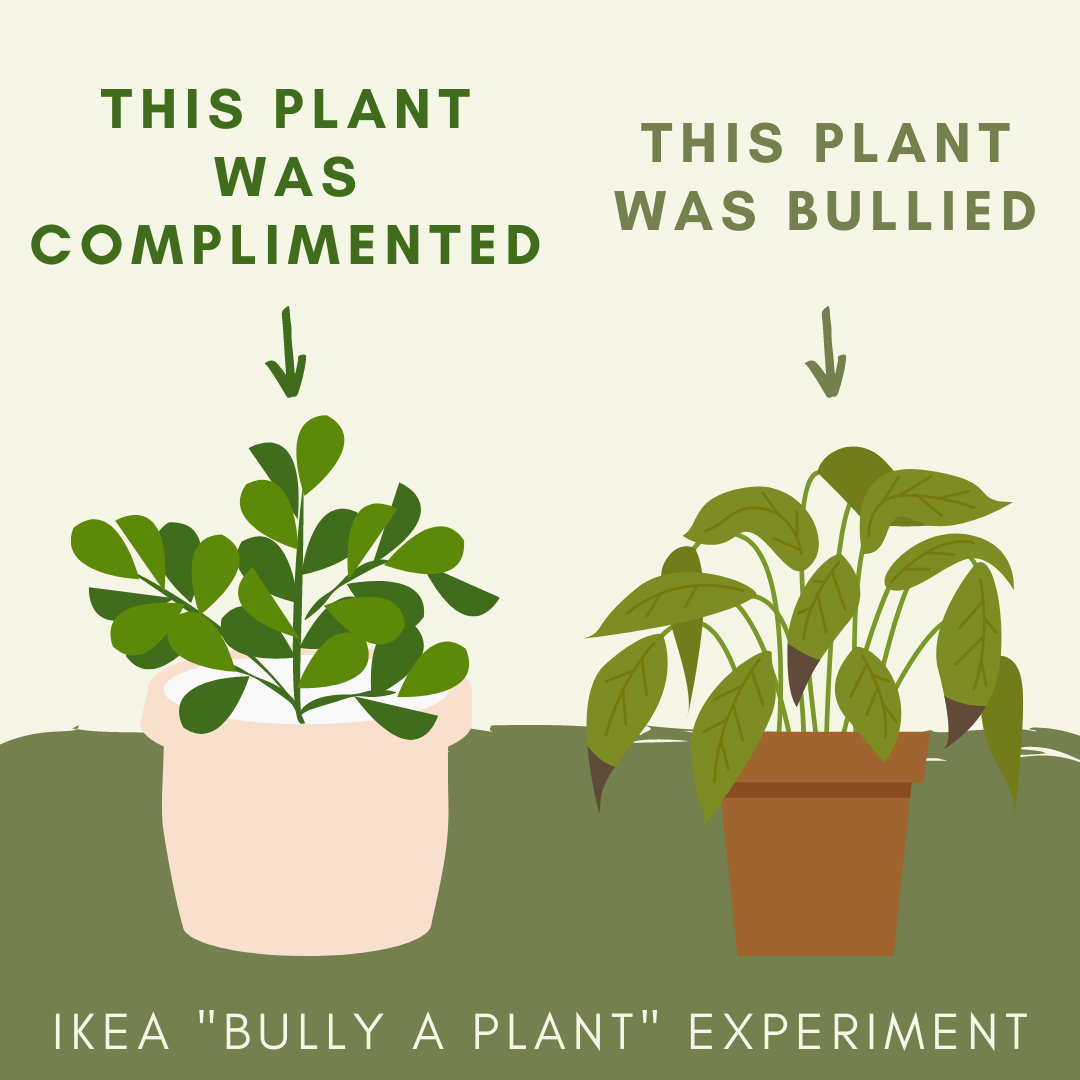 IKEA “Bully a Plant”